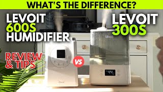 LEVOIT 300S vs LV600S Humidifier: Long Term Review & Comparison