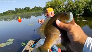 What Do I Need to Bream Fish? | Essential Gear for Beginners and Pros