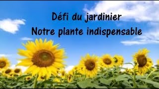 [Défi du jardinier] Notre plante indispensable