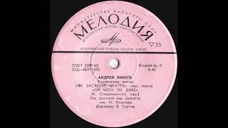 Андрій Кікоть (бас) - Українські народні пісні (сторона 2) (миньон)