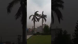 Heavy Storm and Rain in Hoshiarpur | Heavy rain and strong winds in Hoshiarpur Punjab