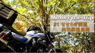 秋の岐阜、長野バイク旅 #1 せせらぎ街道 奥飛騨温泉郷