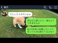 【line】2年前、私が犯罪者と嘘を広めて離婚させた義妹と会社のロビーで再会「今は清掃員なんだ？w」→私を清掃のおばさんと決めつける女に正体を伝えた時の反応がwww