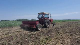 International #10 Grain Drill Planting Pearl Millet