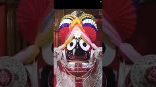 New Jagannath Bhajan Status।। କଳା ମାଣିକ ରେ।।🙏🙏⭕❗⭕🌺 #bhajans #jagannathbhajan #new #like #viralvideo