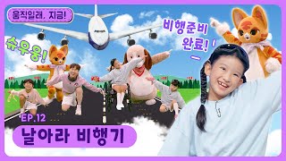 움직일래, 지금!ㅣEp.12ㅣ✈️날아라 비행기ㅣ딩동댕유치원