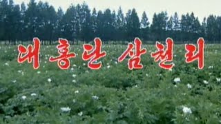 【北朝鮮音楽・DPRK Music】대홍단 삼천리（大紅湍三千里 / The Broad Expanse of Taehongdan）普天堡電子楽団 / PEE