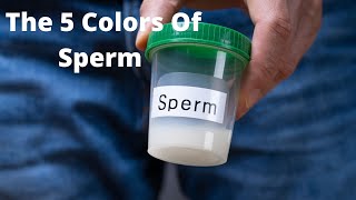 THE 5 COLORS OF SPERM