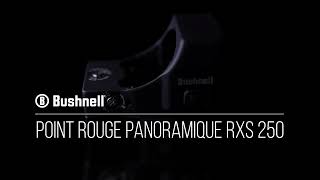 Bushnell RXS 250 :  présentation de ce viseur point-rouge