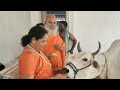 all cows moved to sri lakshmi goshala in march 23 2023