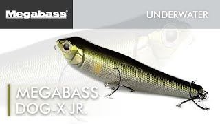 Megabass : Dog-X Jr. - 水中（ルアーアクション）