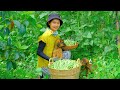 Harvesting String beans Goes To Market Sell - Taking care of pets, Farm, Gardening | Tieu Lien