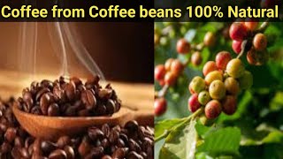 How to Make Fresh Coffee from Coffee bean /harvesting from Our own farm 🚜/weightloss drink /Roasting