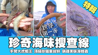 【珍奇海味搜查線】手臂大虎蝦王／柬埔寨海蝗蟲 一隻上千元／陶罐捕章魚神技｜《世界第一等》精選特輯150集