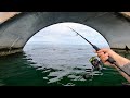 Florida Keys Bridge Fishing - Crushed My LIVE Baits + Hot Jig Action