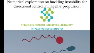 Numerical exploration on buckling instability for directional control in flagellar propulsion