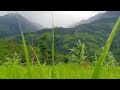 Daily life of Farmers in Nagaland under Tuensang district