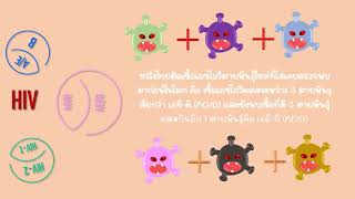 การแข่งขันการออกแบบกราฟิกด้วยคอมพิวเตอร์ (Motion Infographic) ม.4-6 รางวัลเหรียญทอง เรื่อง โรคเอดส์