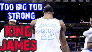 Lebron 'King' james Too Strong for his opponent | NBA career highlights