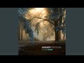 forgotten song