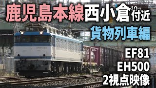 EF81＆EH500力走 鹿児島本線西小倉付近で貨物列車ウオッチ