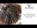 Meet the Blussians: #sheamom Shea Moisture Marshmallow Root & Blueberry Curls Review!