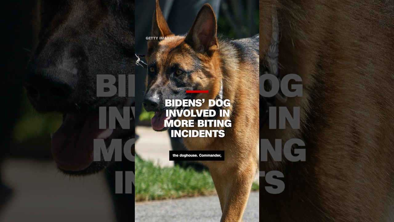 Bidens’ Dog Involved In More Biting Incidents - YouTube