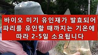 미국에서 수입한 파리포획퇴치기 녹색환경 파리지옥