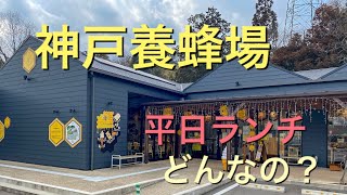 【神戸養蜂場】平日ランチどんなの？