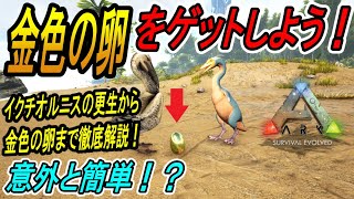 【Ark】意外と簡単！？金色の卵をゲットしよう！【ソロ攻略】