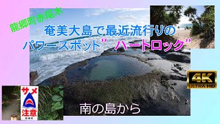 奄美大島で今流行りのパワースポット　\