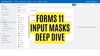 Forms Input Masks Deep Dive
