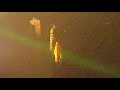 Twenty One Pilots Bandito Tour 2018 #3