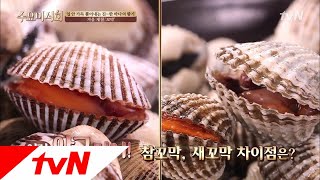 Wednesday Foodtalk 참꼬막 VS 새꼬막, 뭐가 뭔지 잘 모르게쒀여.. 180131 EP.155