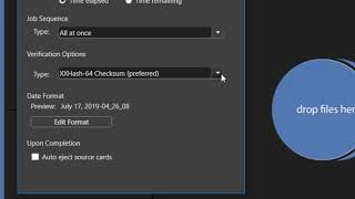 ShotPut Pro Windows 2019 - Preferences