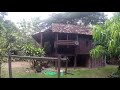 traditional thai house in northern thailand