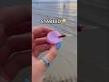 LOOKING FOR FIDGETS at the BEACH! 🌊😱👙 *weird amazon fidgets*