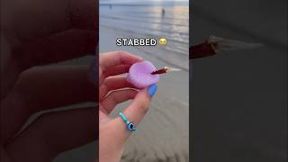 LOOKING FOR FIDGETS at the BEACH! ๐๐ฑ๐ *weird amazon fidgets*