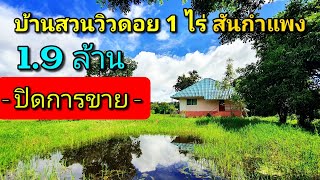 ❌️ขายแล้ว1.9ล.🏡 ที่ดิน 1 ไร่ #แถมบ้านสวนวิวดอยและบ่อปลา ใกล้เมือง 20 กม. บ้านห้วยทราย อ.สันกำแพง