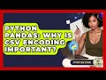 Python Pandas: Why Is CSV Encoding Important? - Python Code School