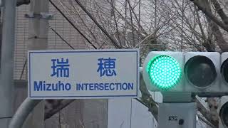 日本北九州賞櫻5日,來到賞櫻的公園,日本櫻花中最常見的園藝品種染井吉野櫻,參觀完畢前往下一個行程,福岡街頭即景170405