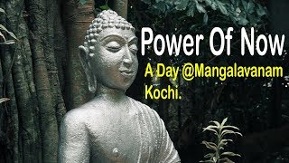 Power Of Now and Heart meditation technique : A day @ Mangalavanam forest kochi