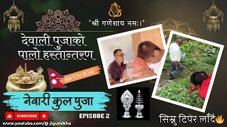 देवाली पुजा - part 2 || देवाली पुजाको आगामी पालो हस्तान्तरण || घर फर्किदा बाटामा सिस्नु टिपेर लाँदै🍃