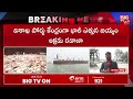 ration rice smuggling విశాఖ పోర్టులో మంత్రి నాదెండ్ల తనిఖీలు.. అక్రమ బియ్యం సీజ్ big tv live