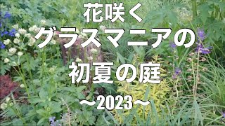 花とグラスが調和したグラスマニアのガーデン植栽を紹介します。