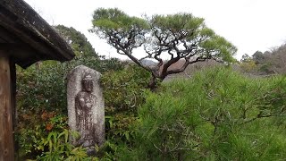 京都嵐山　師走の大河内山荘の庭園