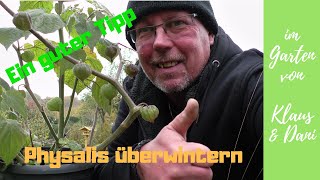 Wie überwintert man Physalis?