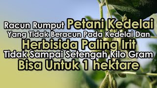 Uji Teknologi Herbisida Pembeku Biji Pada Tanaman Kedelai