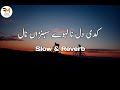 loko kadi dil na laway sohna nal slow and reverb ll ahmad nawaz cheena