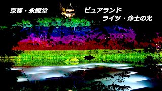 京都・永観堂「ピュアランド　ライツ・浄土の光」（2023年10月7日）　Projection mapping at Eikando in Kyoto